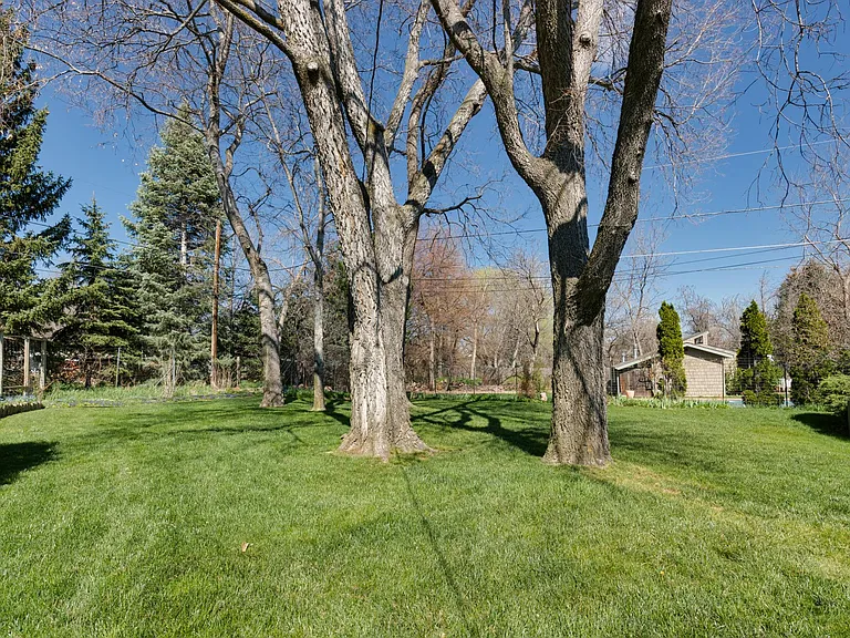 565 Jack Pine Ct — Photo 33