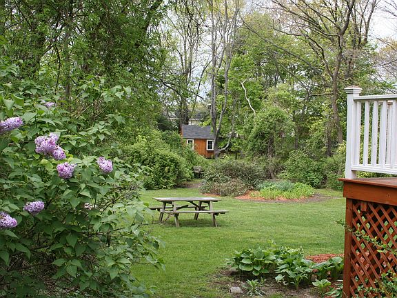 BACK YARD, GREAT SPACE FOR PICNICS, SPORTS AND AND BERRIES, PLUS STORAGE SHED.
