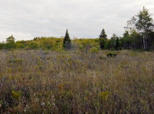 561 Cooks School South Rd, Cooks, MI 49817