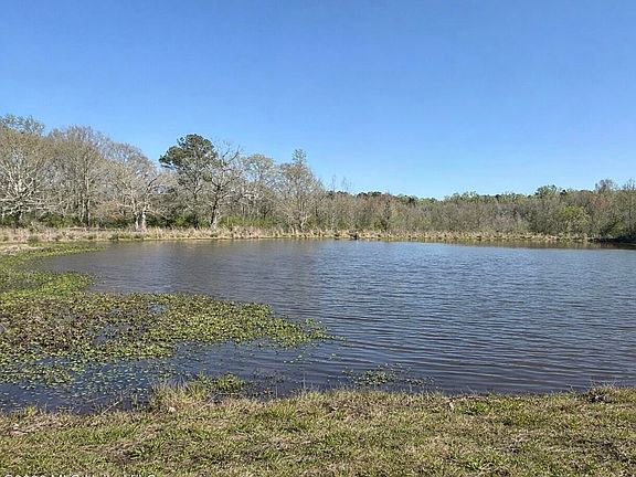 3rd image of Neal Rd