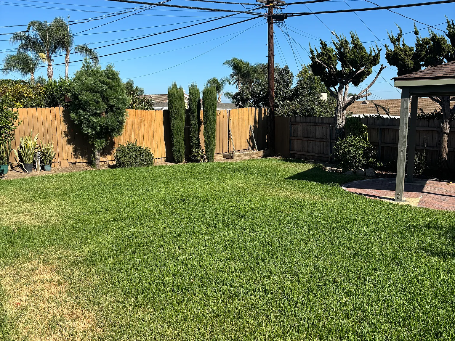 3 bed, 1602 sqft, $4,600 — Photo 2