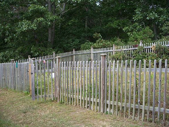Garden with plenty of sun 