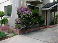 1st image of 380 Shasta Ave