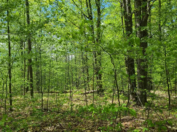 Woodridge Ct, Mancelona, MI 49659