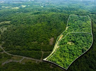 0 Preacher Holt Rd LOT 3&4, Mount Pleasant, TN 38474