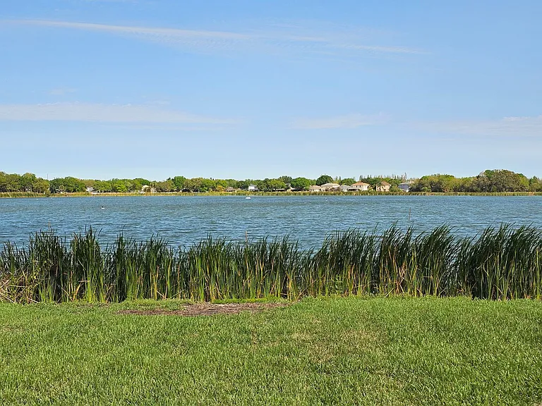 7209 Colonial Lake Dr — Photo 49