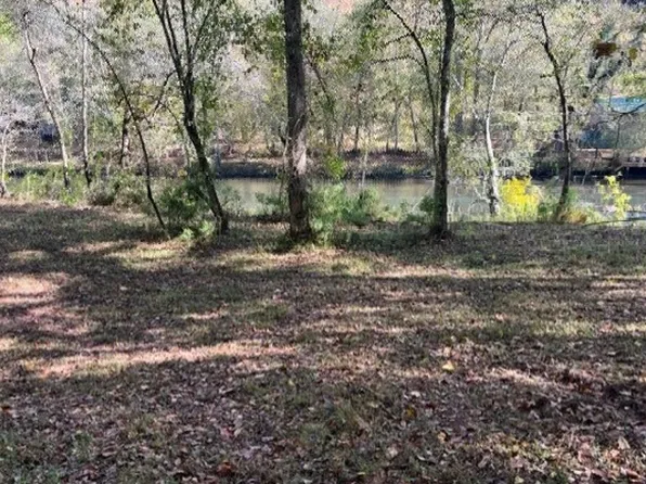 1 Kellys Point Dr, Blue Ridge, GA 30513