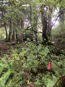LOT 2 Eight #9, Rockaway Beach, OR, 97136