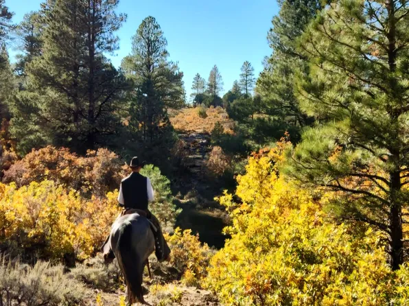 Tbd Transfer Rd, Olathe, CO 81425