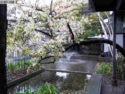 1036 Oak Grove Rd APT 89, Concord, CA, 94518