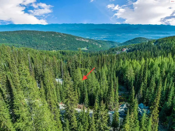 187 Tall Timber Rd, Sandpoint, ID 83864