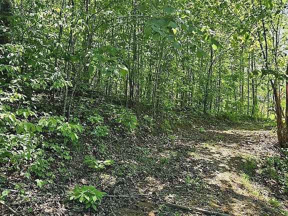 3rd image of 93 Nina Rd Lot 3R-1
