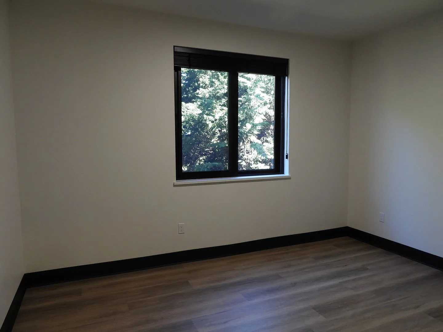 1827mel -Hines/Cortani — Photo 4