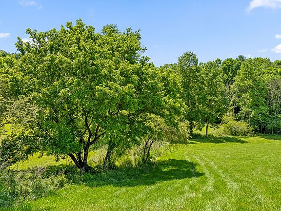 3rd image of 12 Squirrel Hunting Rd