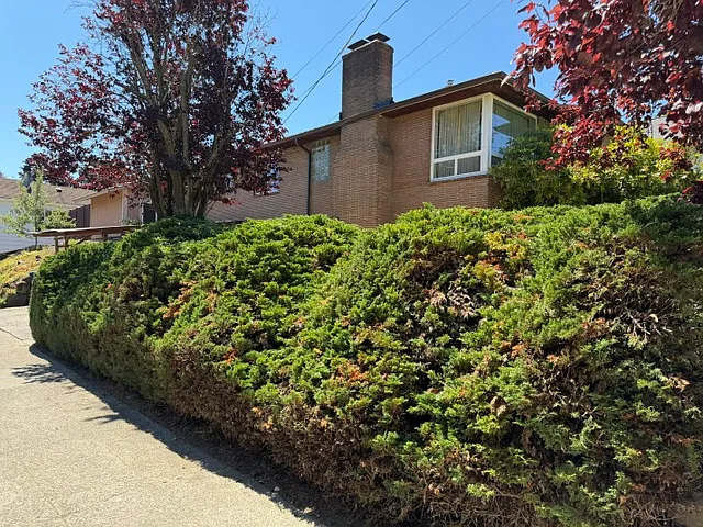 3 bed, 1050 sqft, $3,400 — Photo 3