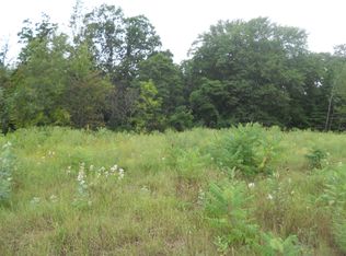 LOT 33 Ronalds Rd, Dorr, MI 49323