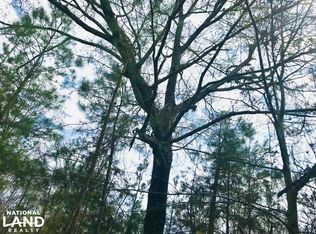 Oochee Bottom Rd, Buena Vista, GA 31803