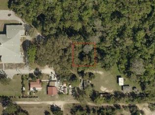 11122 Springdale Ave, Leesburg, FL 34788