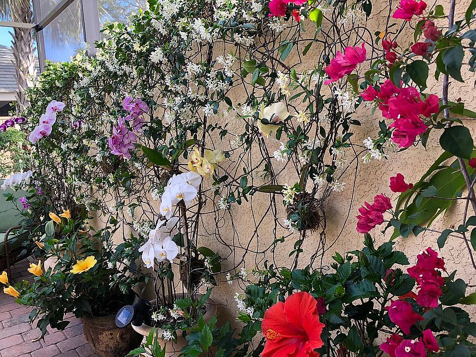 Lanai Garden Wall