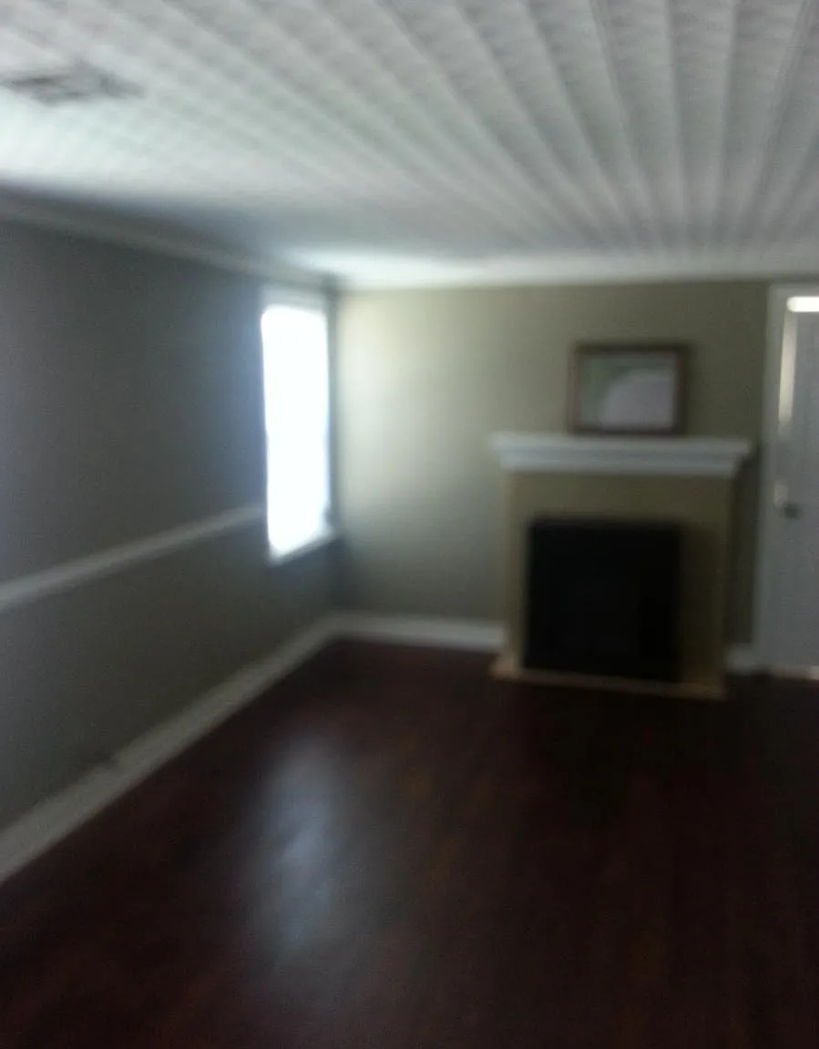 1 bed, 812 sqft, $750 — Photo 4