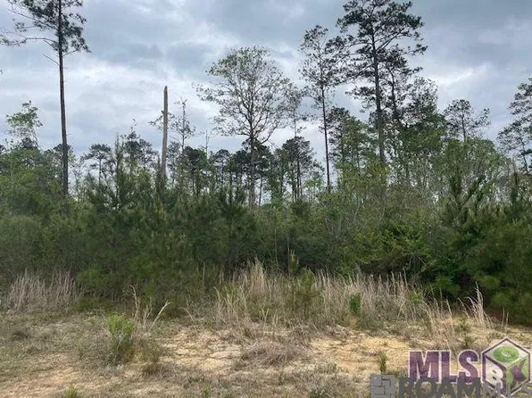 LOT Teal McDaniel Rd #B, Pine Grove, LA 70453
