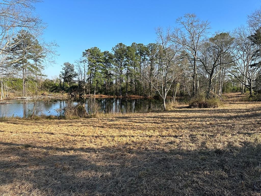 25238 Highway 87, Elba, AL 36323 Zillow