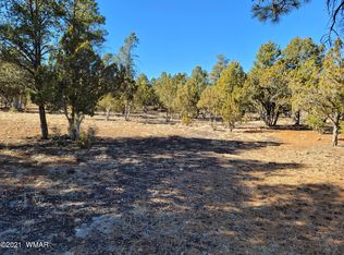 2752 Challenger Dr, Overgaard, AZ 85933