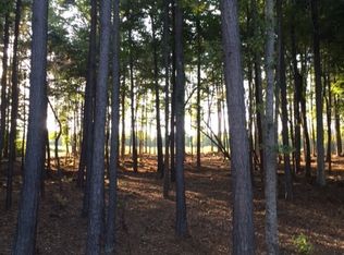 39 Swann Rdg, Chattahoochee Hills, GA 30268