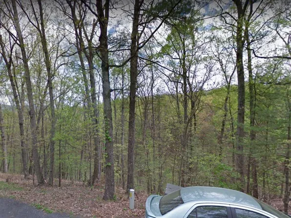 Lerner Ln, Basye, VA 22810