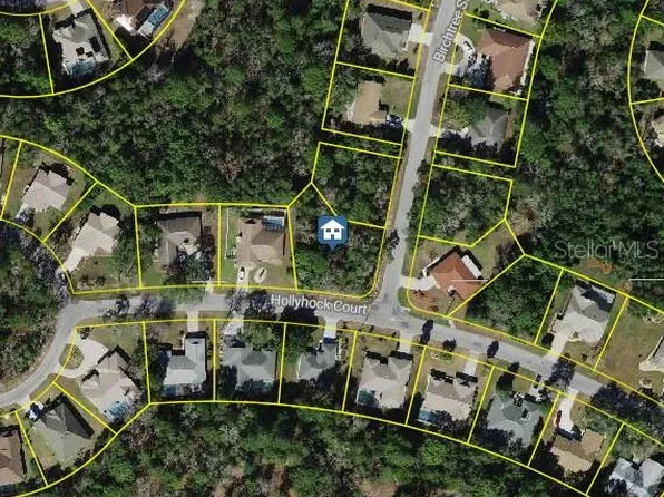 36 Hollyhock Ct Lot 1, Homosassa, FL 34446