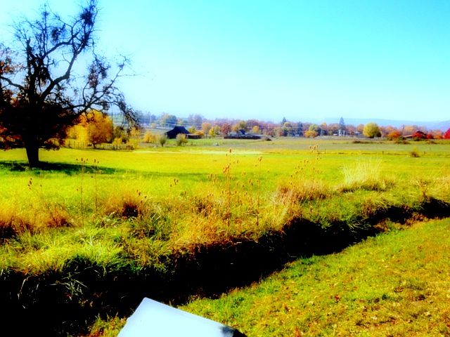 2nd image of 90 Hidden Valley Dr