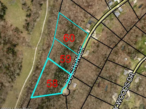360 Doe Run Ct, Taylorsville, KY 40071