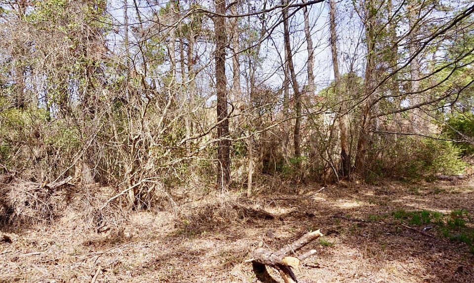 2nd image of 2200 Caracara Dr