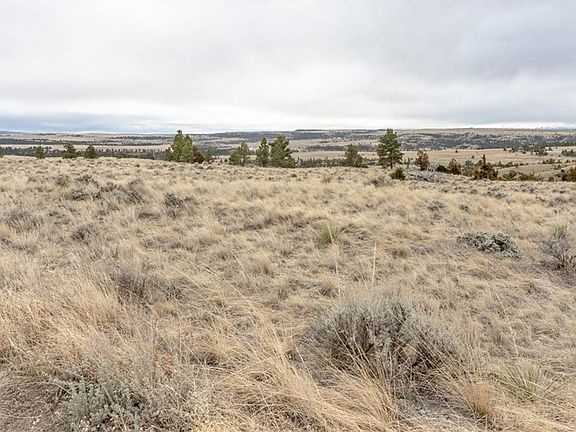 4th image of 0 Rocky Ridge Rd