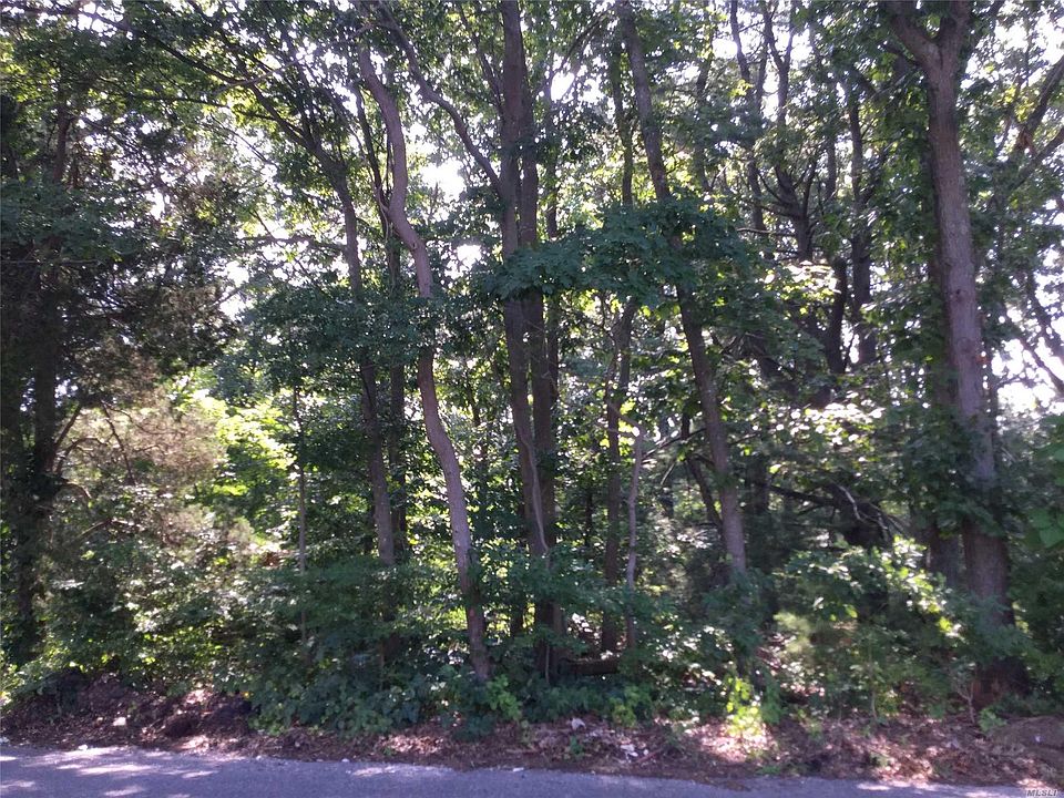 1st image of Ronkonkoma Blvd