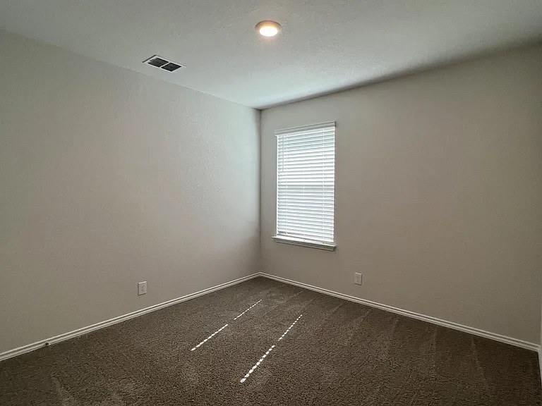 15315 Shortwing — Photo 9