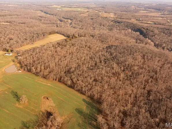 0 Abbott Rd, Bellflower, MO 63333