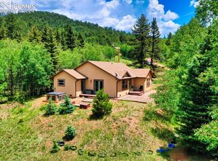 65 Wabash Ter, Cripple Creek, CO 80813