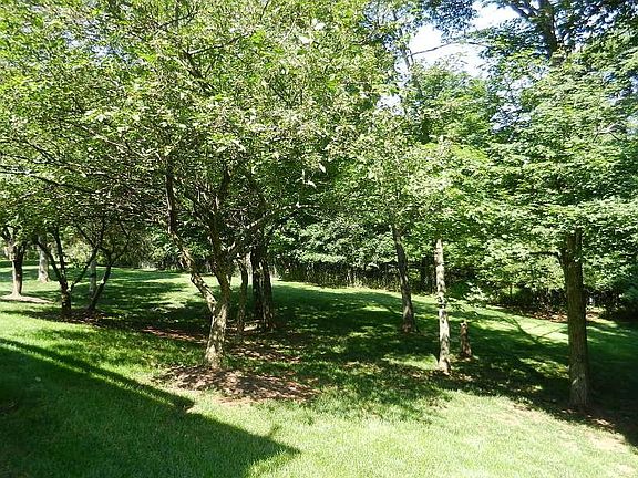 2nd image of 117 Grantham Dr