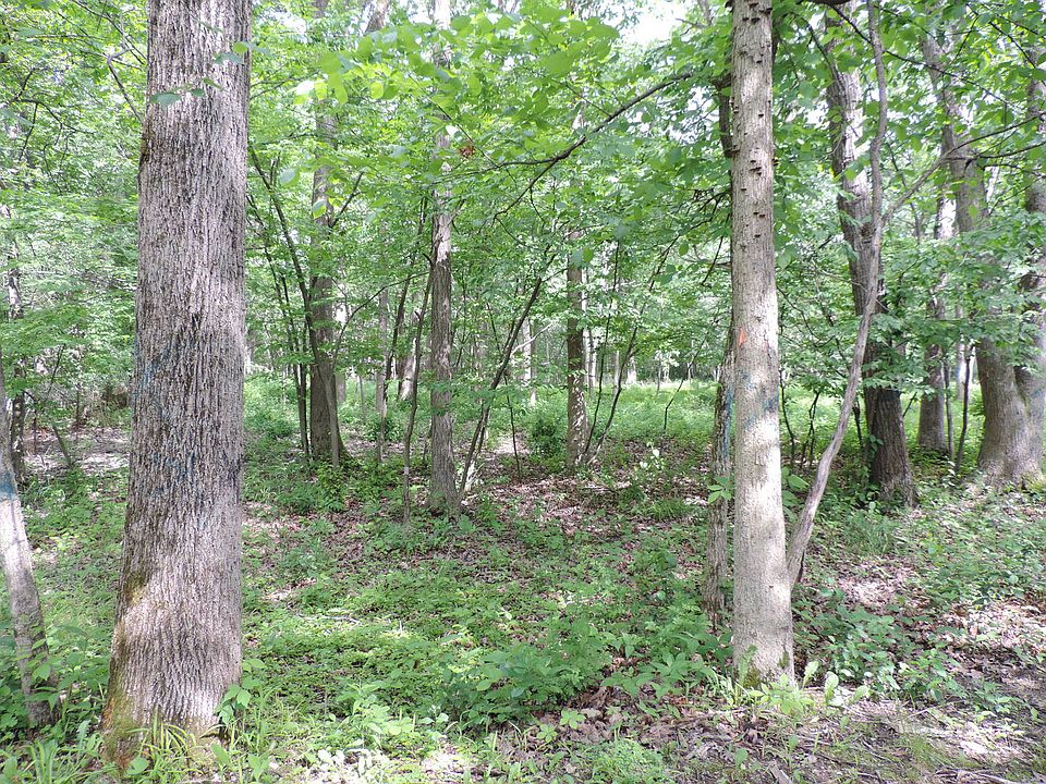 2nd image of 1725 Trillium Ln