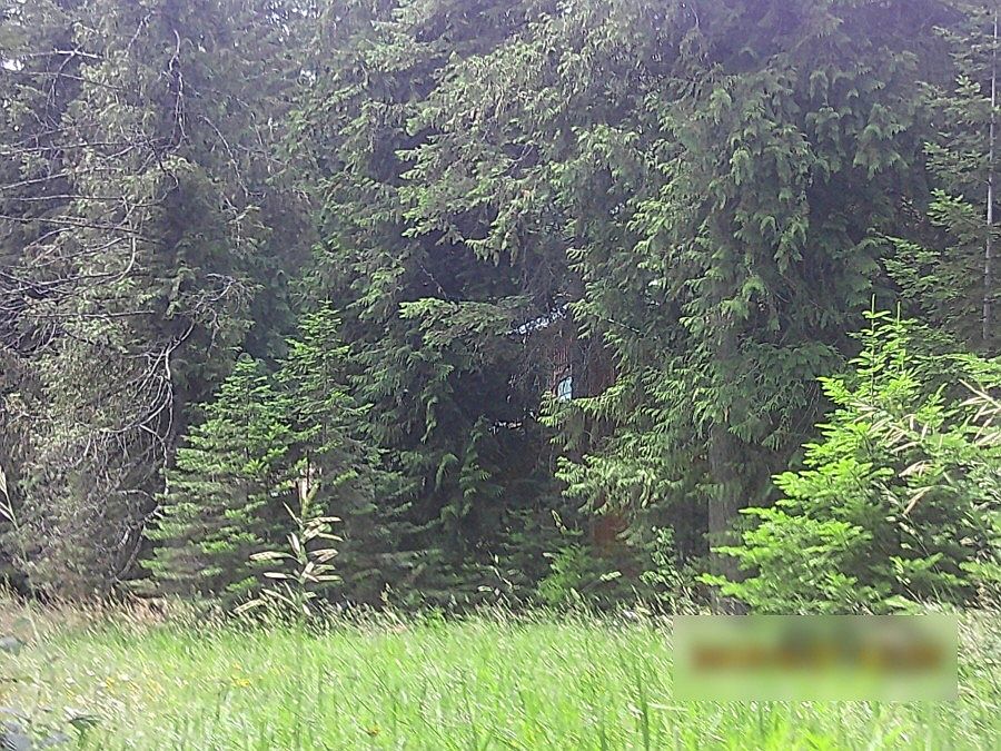1st image of 1131 Skookum Meadow Dr
