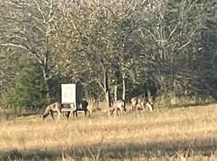 County Road 4145, Cooper, TX 75432