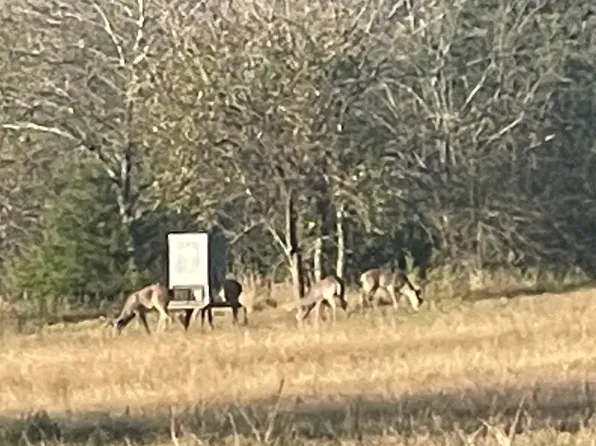 County Road 4145, Cooper, TX 75432