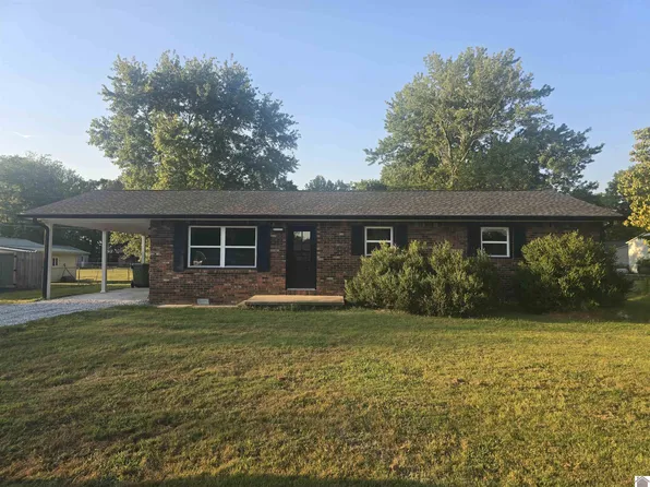 357 Lakeview Dr, Ledbetter, KY 42058