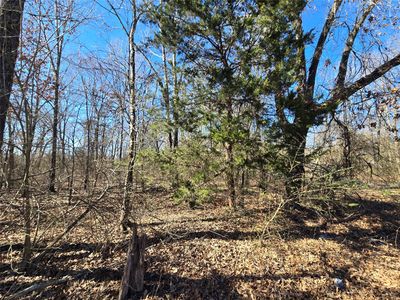 12980 Fm 44 S, Avery, TX, 75554