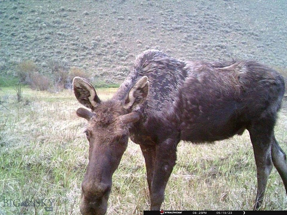 1st image of Nhn North Camp Creek Rd