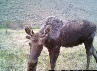 Nhn North Camp Creek Rd, Butte, MT 59701