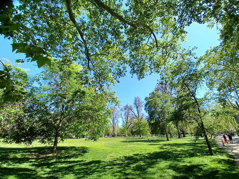 View of park from home (across the street)