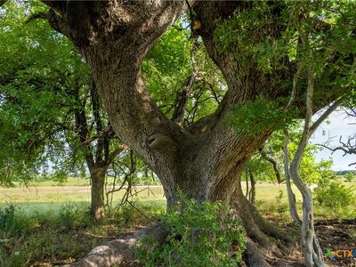 0 County Road 224 W, Briggs, TX, 78608