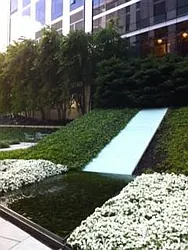 Rented by Sumitomo Real Estate Sales